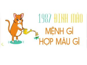 TUOI-1987-HOP-MAU-GI